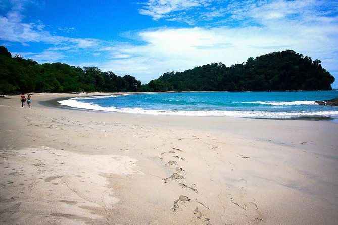 manuel-antonio-park-nature-guided-tour-with-a-nature-specialist