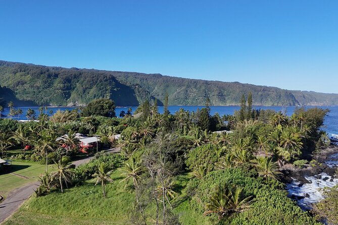 mauis-sea-turtles-waterfalls-and-road-to-hana-adventure