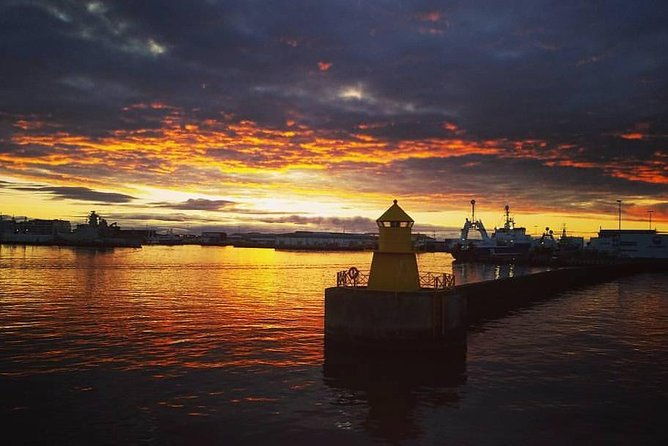 midnight-sun-whale-watching-from-reykjavik