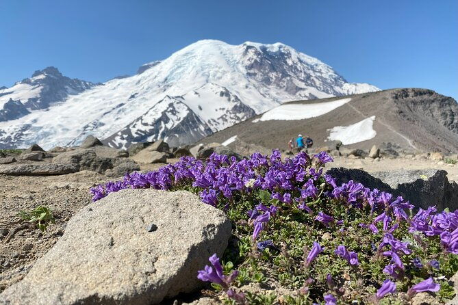 mount-rainier-day-hike-2