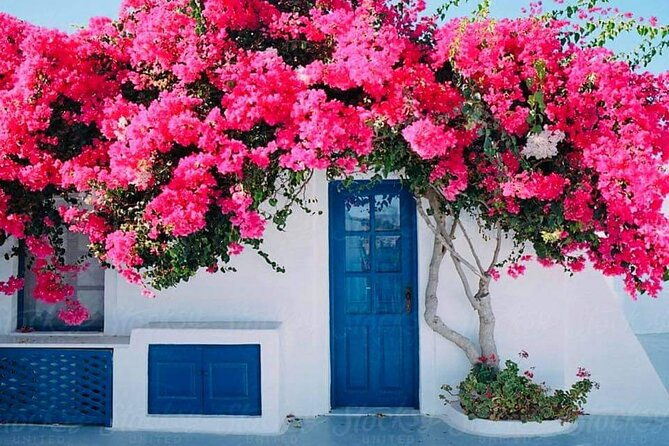 mykonos-coastal-delights-a-cruise-passengers-dream-day