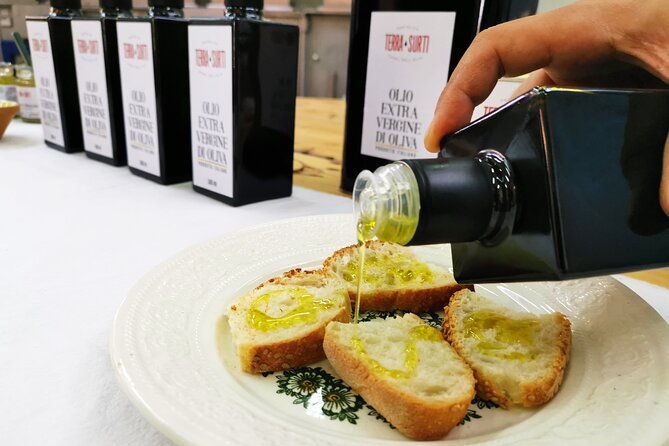 olive-harvest-visit-to-the-oil-mill-and-typical-lunch