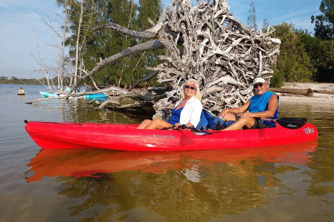 one-single-kayak-rental-for-2-hours-with-manatee-dolphin-sightings