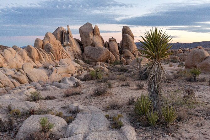 palm-springs-and-joshua-tree-self-guided-driving-audio-tours-2