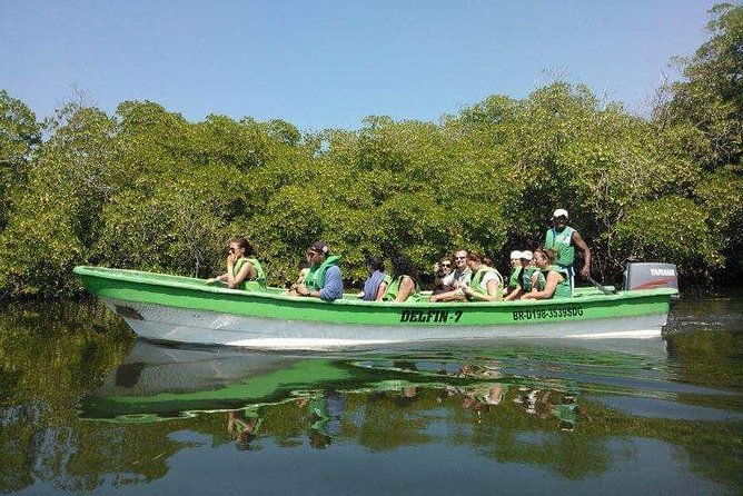 paradise-island-cayo-arena-mangroves-from-puerto-plata-full-day