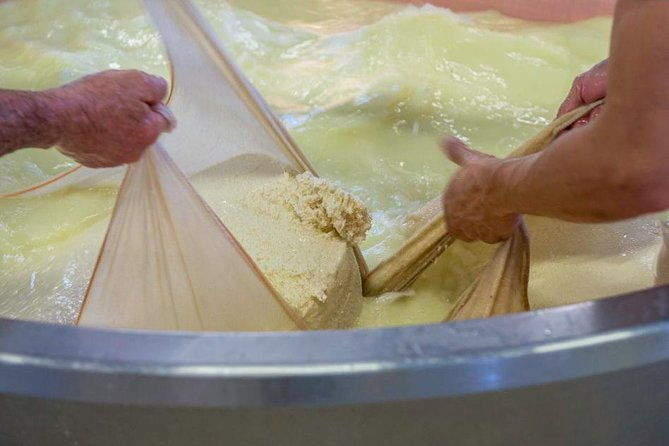 parmigiano-reggiano-cheese-factory-tour-tasting-experience