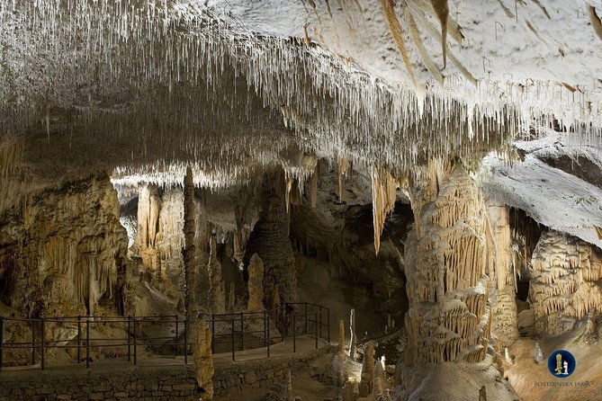 postojna-cave-and-predjama-castle-tour-from-ljubljana-3