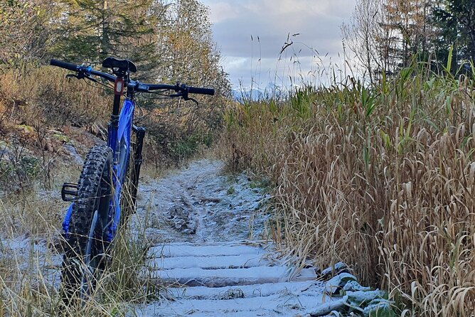 premium-ebike-rental