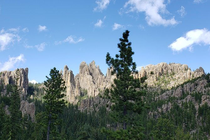 private-5-hour-black-hills-tour-with-local-experts