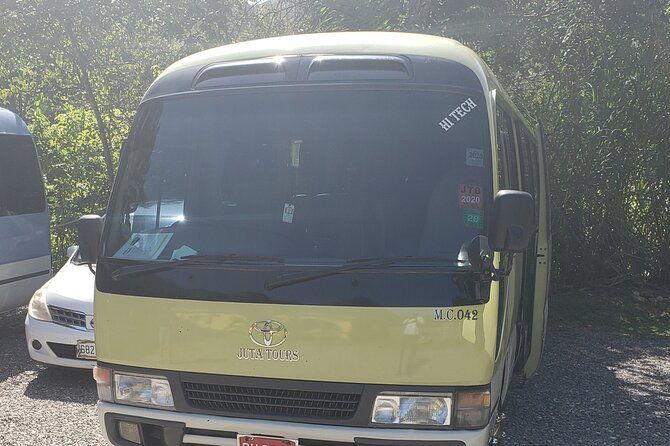 private-airport-transfers-to-negril-hotels-and-villas