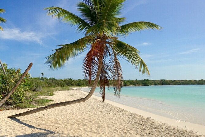 private-boat-nature-tour-of-saona-island