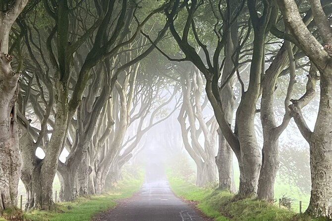 private-coast-tour-in-belfast