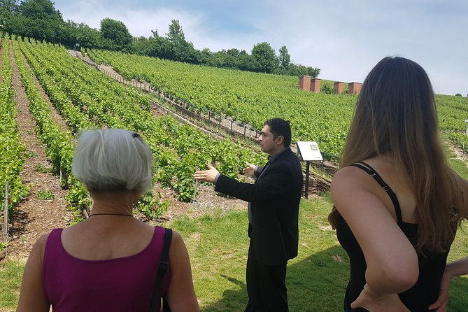 private-day-tour-in-champagne