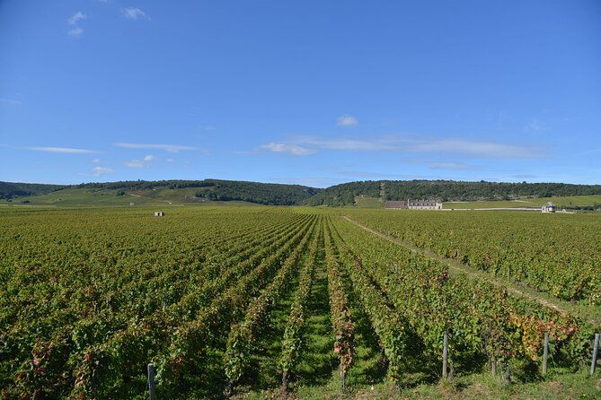 private-full-day-tour-burgundy-gourmet