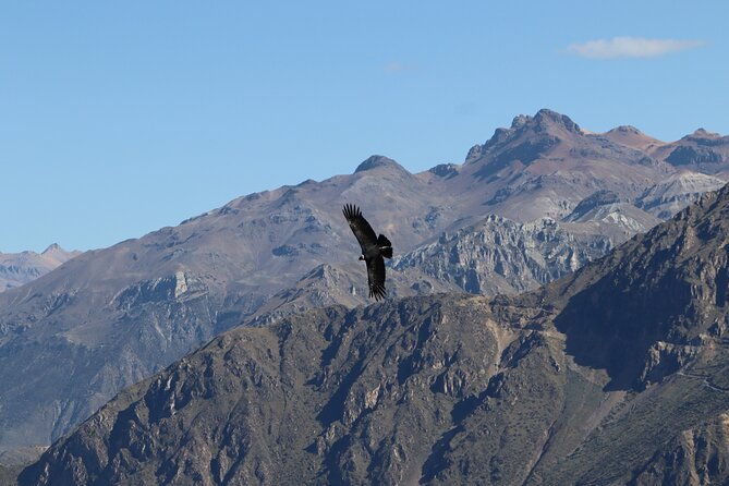 private-full-day-tour-to-colca-canyon-with-breakfast