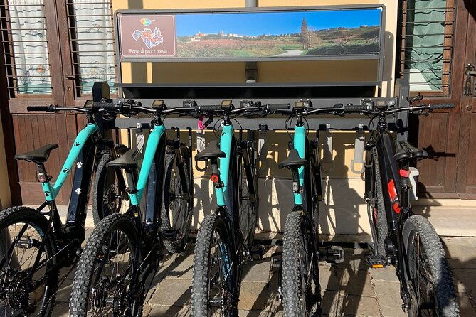 private-guided-e-bike-tour-in-bertinoro