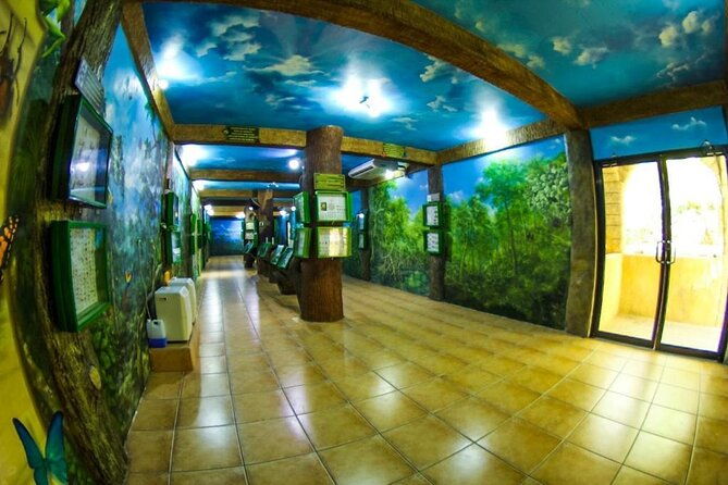 private-guided-gumbalimba-park-tour-from-roatan