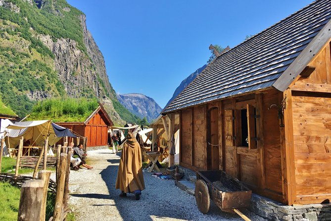private-guided-tour-world-heritage-fjord-landscape-viking-special-from-flam