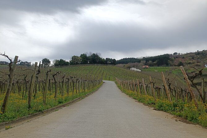 private-half-day-txakoli-wine-tour-getaria-fishing-village