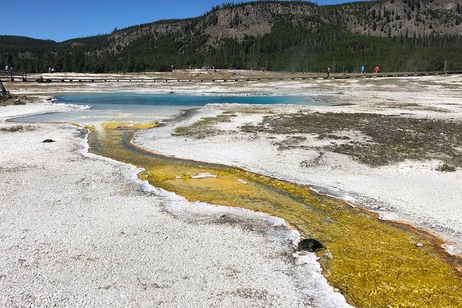 private-hidden-gems-of-yellowstone-lunch-w-family-friendly-hikes-included-2