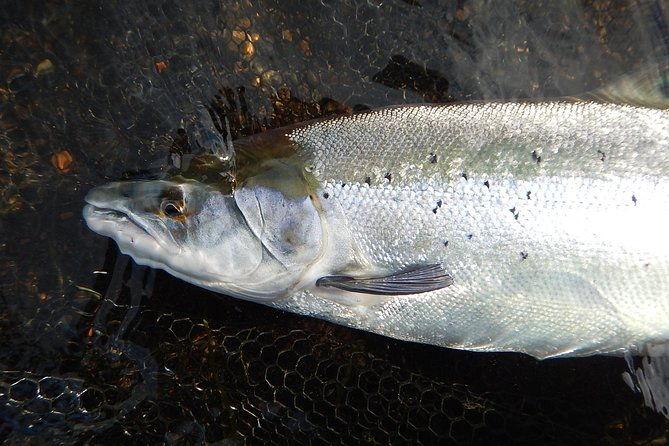 private-lake-and-river-fishing-tour-from-reykjavik