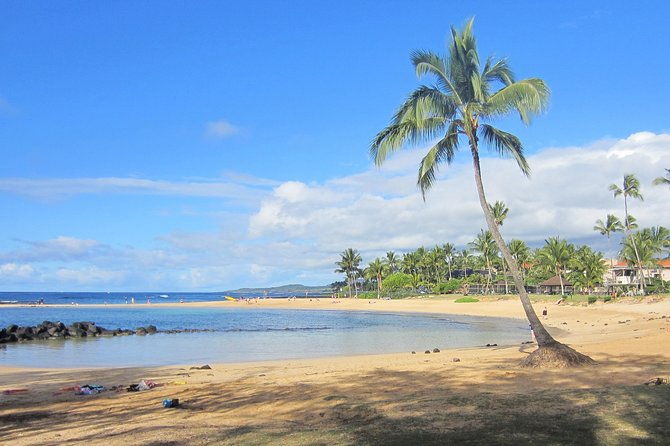private-luxury-tour-of-kauai-south-west-shores