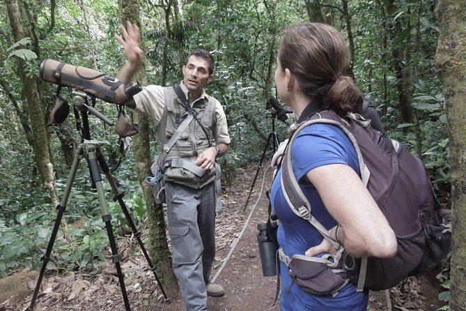 private-natural-history-walk-by-pasion-costa-rica