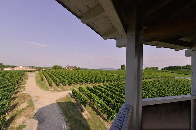 private-outdoor-escape-game-tuniberg-eduardo-the-wine-secret