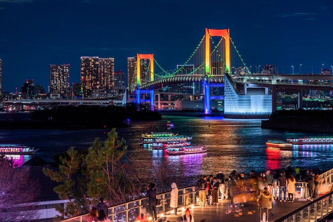 private-tokyo-night-tour-with-english-speaking-driver