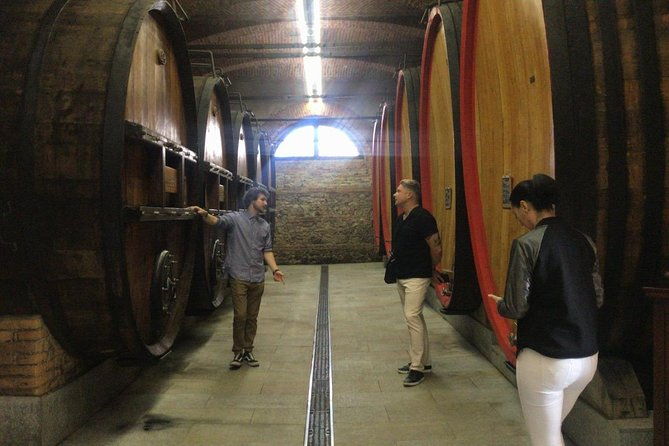 private-tour-from-turin-full-day-langhe-region-with-its-colors-and-flavors