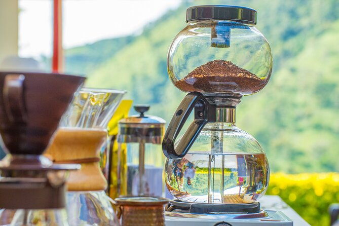 private-tour-the-urban-coffee-culture-in-medellin-coffee-farm-workshop