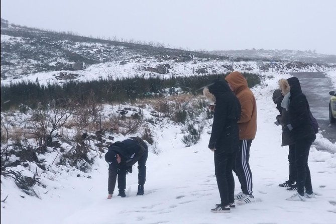 private-tour-through-serra-da-estrela-park-and-its-famous-cheese-2