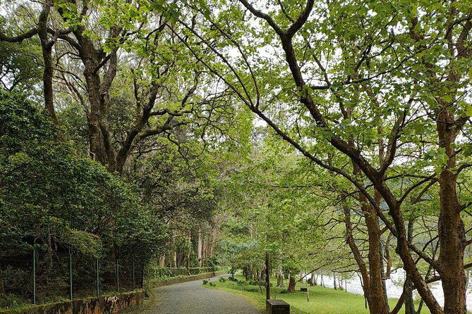 private-tours-best-spots-views-in-sao-miguel-island-2