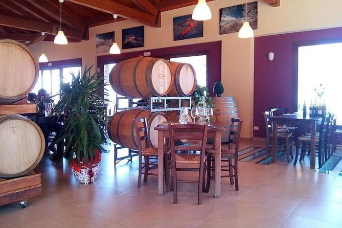private-visit-to-the-cellars-of-etna-with-wine-tasting