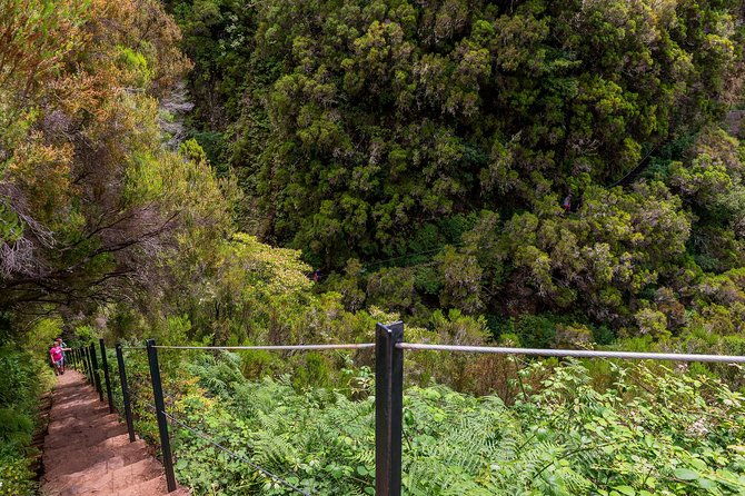 rabacal-levada-das-15-fontes