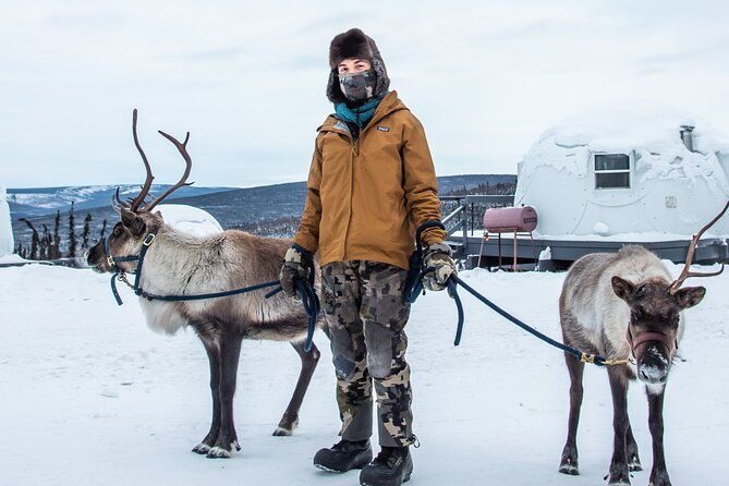 reindeer-and-heli-flightseeing-day-trip-with-lunch