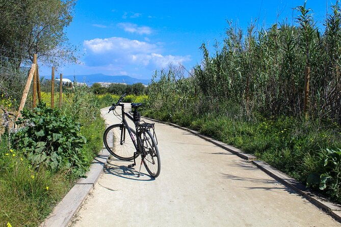 rent-a-trekking-bike-full-day-24-hours