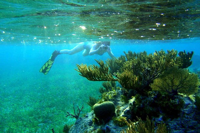 roatan-sea-kayak-snorkel-and-swim