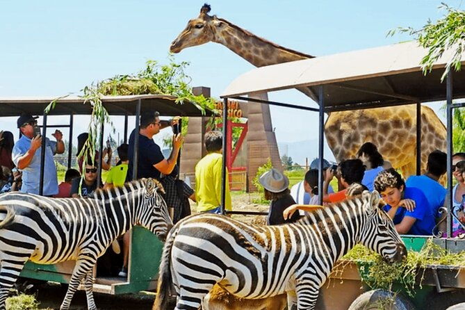 safari-park-wild-experience
