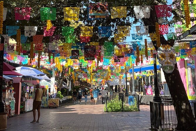 san-antonio-hop-on-hop-off-trolley-tour