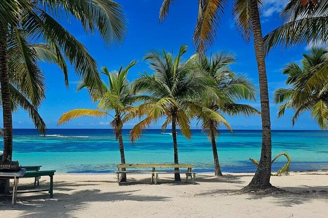 saona-island-excursion-small-group-on-motorized-trimaran