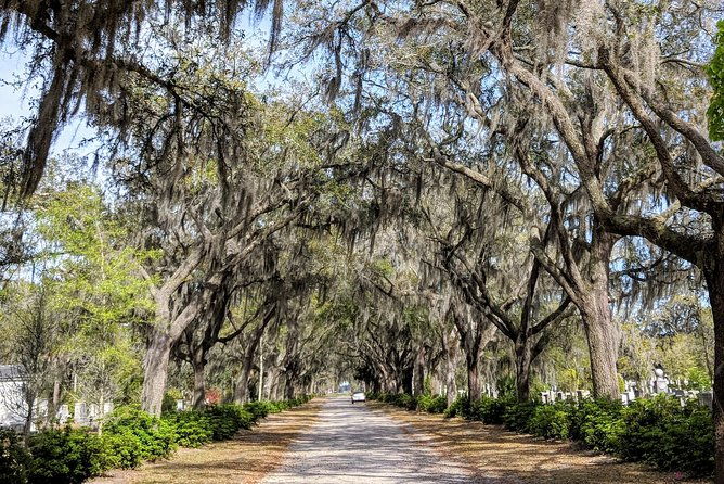 savannah-vip-tour-private-full-day-tour