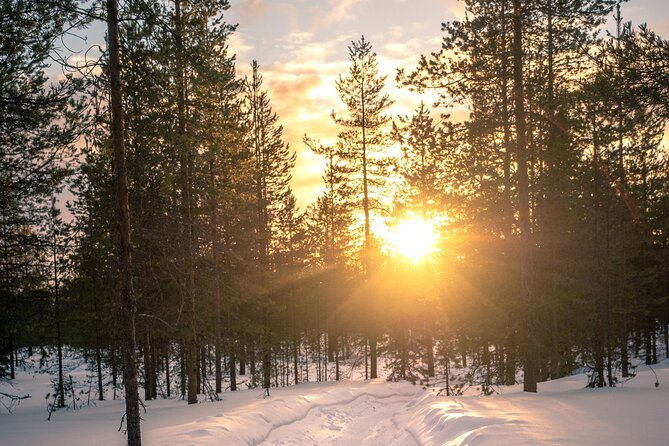 scenic-electric-fat-bike-group-ride-in-rovaniemi