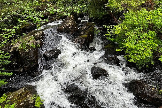 sitka-private-adventure-4x4-truck-tour-lunch-w-2-admissions