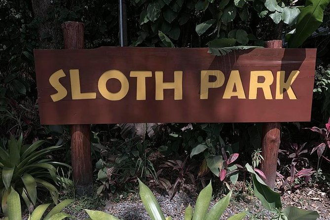 sloth-watching-tour