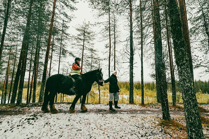 small-group-arctic-circle-horse-riding-from-rovaniemi