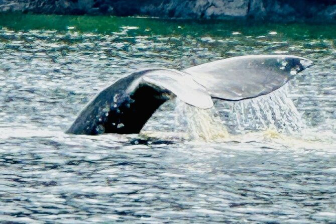 small-group-boat-tour-of-sitka