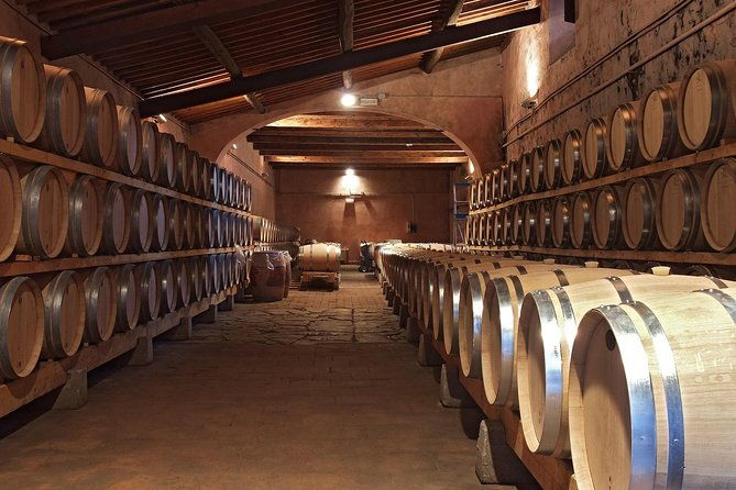 small-group-brunello-di-montalcino-wine-tour-from-siena