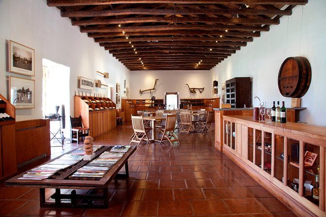 small-group-maipo-vineyards-full-day-experience-with-optional-lunch