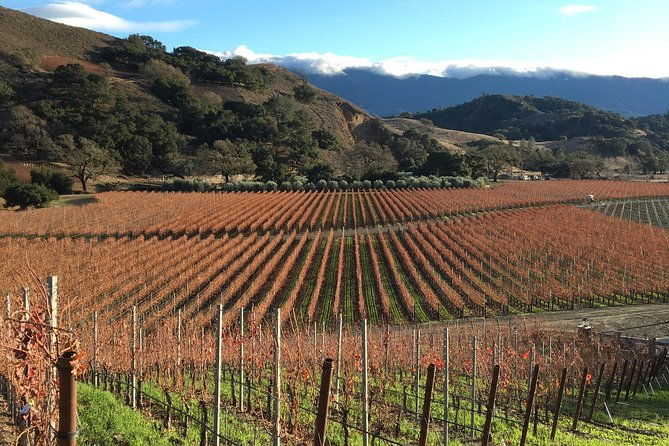 small-group-wine-tasting-tour-of-santa-barbara-wine-country